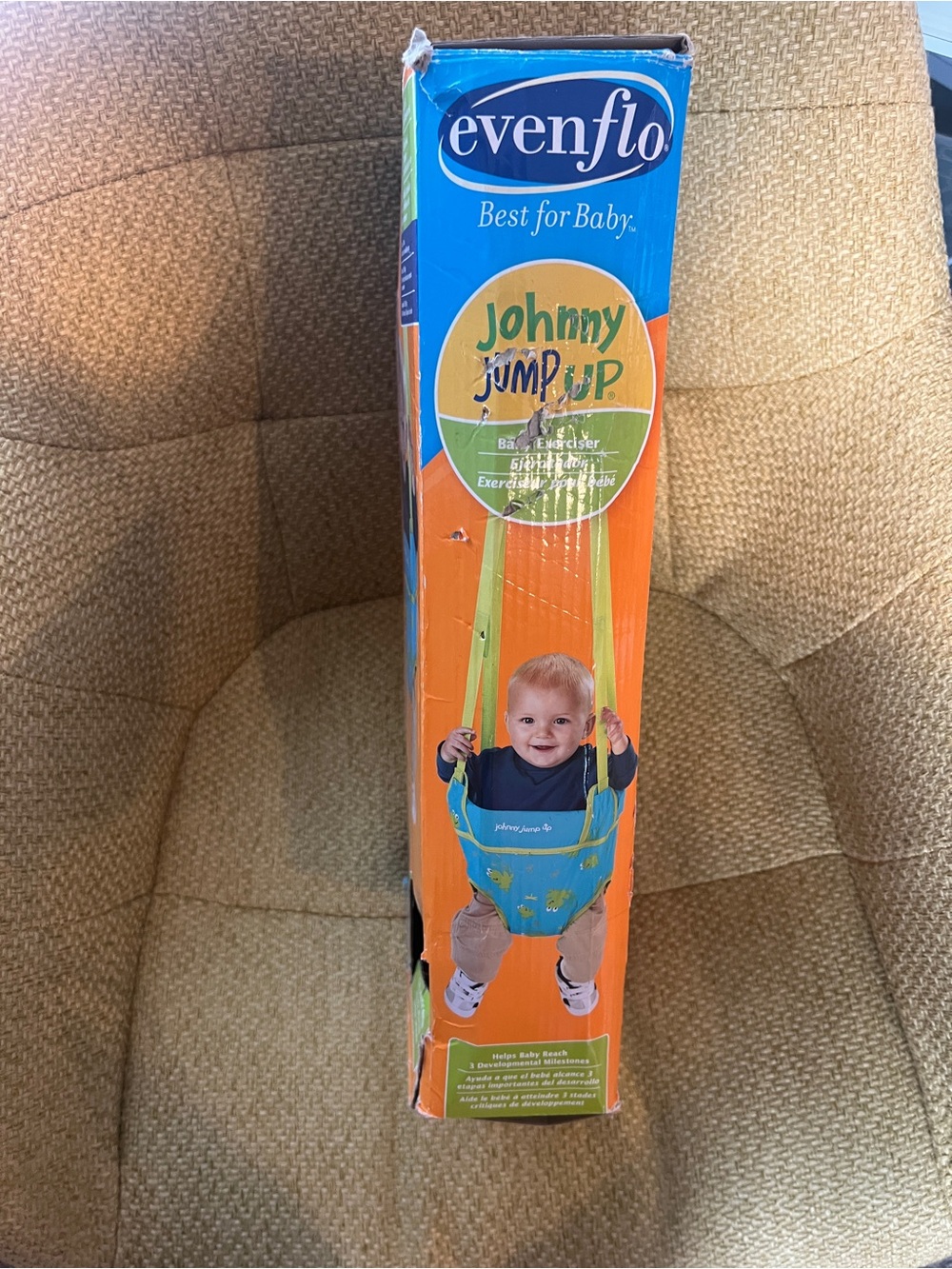Johnny Jump Up - Picture 2 of 3